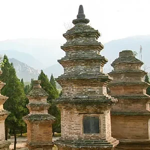 1 Day Luoyang Tour to Longmen Grottoes & Shaolin Temple