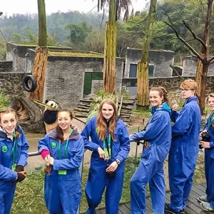 1 Day Volunteer Program as Keeper at Wolong Panda Base