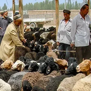 12 Days Outbound Silk Route Exploration: Dunhuang, Turpan, Urumqi, Kashgar, Tash Rabat, Naryn, Bishkek