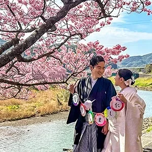5 Days Japan Cherry Blossom Tour to Tokyo, Mt. Fuji, Kamakura