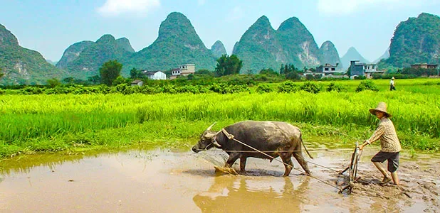 6 Days Guilin Tour to Longsheng, Sanjiang, Yangshuo