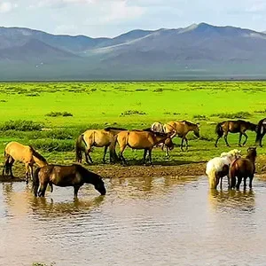 6 Days Private Xinjiang Tour of Urumqi, Nalati, Sayram Lake