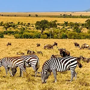 7 Days Kenya Tour Itinerary of Nature & Wildlife