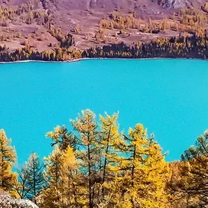 8 Days Private Xinjiang Tour of Urumqi, Kanas Lake, Hemu