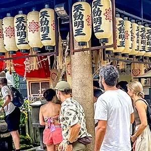 9 Days Japan Private Tours to Tokyo, Hakone, Mt. Fuji, Kyoto