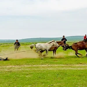 9 Days Private Tour of Ulaanbaatar, Ulgii, Altai Tavan Bogd NP