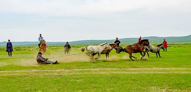 9 Days Private Tour of Ulaanbaatar, Ulgii, Altai Tavan Bogd NP