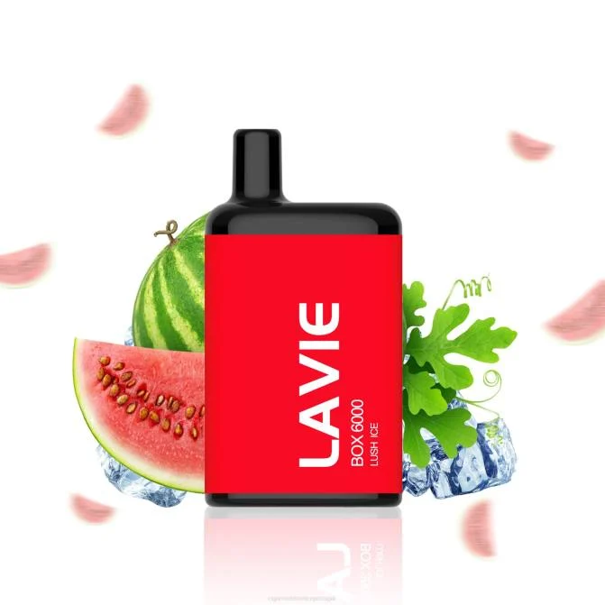 Atacado Vaporizador – gelo exuberante LAVIE BOX 6.000 baforadas DDN0199