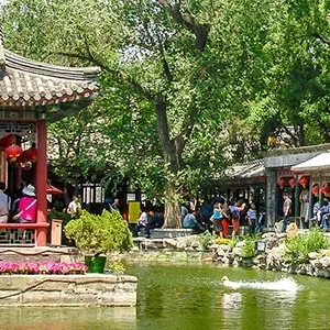 Beijing Cultural Tour to Lama Temple, National Museum