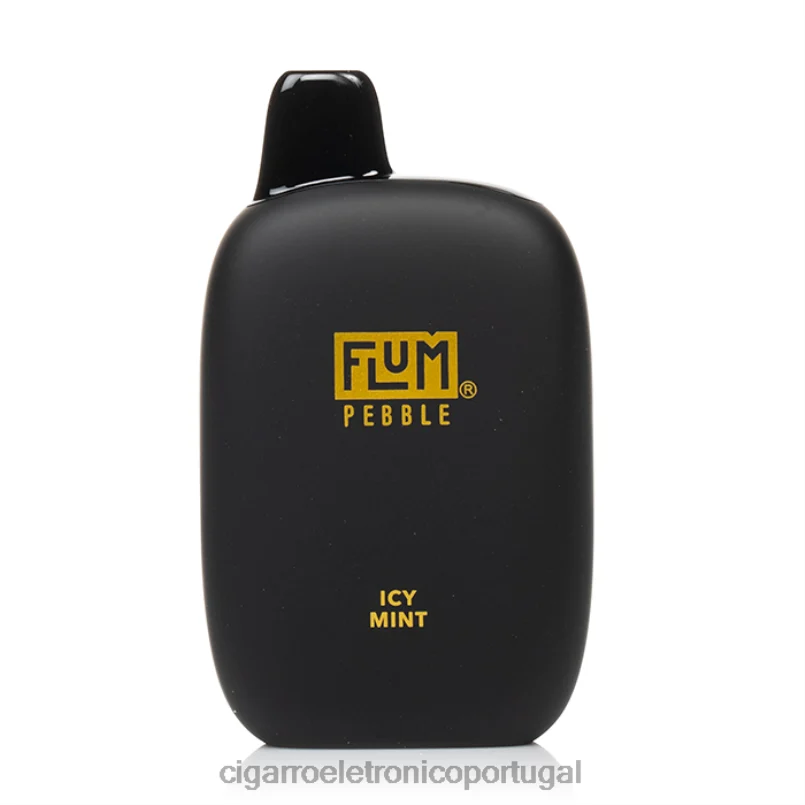 Cigarro Eletronico Atacado – FLUM PEBBLES 6.000 baforadas hortelã gelada V6VXN30