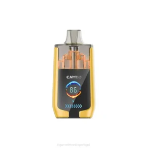 Cigarro Eletronico Atacado – gelo de manga LAVIE CAMEO 30.000 baforadas DDN021