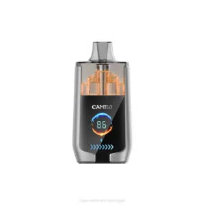 Cigarro Eletrónico Comprar Online – gelo de mirtilo LAVIE CAMEO 30.000 baforadas DDN015