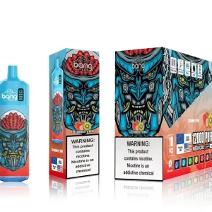 cigarro eletrónico comprar online RB64116 kiwi morango Bang Box 12.000 baforadas