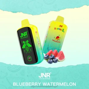 cigarro eletrónico comprar online RB64586 melancia de mirtilo JNR SKYWALKER BOX