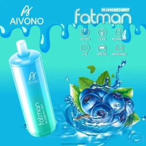 Cigarro Eletrônico Descartável Atacado – Aivono FATMAN 6800 hortelã de mirtilo FR2FJJ22