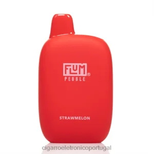 Cigarro Eletrônico Descartável Atacado – FLUM PEBBLES 6.000 baforadas melão V6VXN47