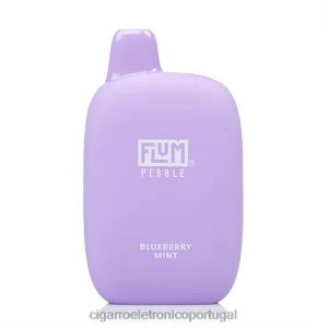 Cigarro Eletrônico – FLUM PEBBLES 6.000 baforadas hortelã de mirtilo V6VXN23