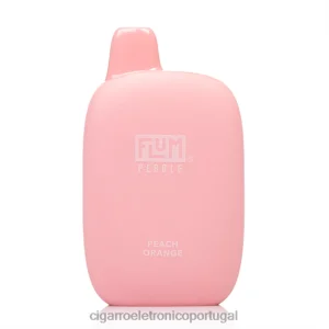 Cigarro Eletrônico – FLUM PEBBLES 6.000 baforadas laranja pêssego V6VXN39