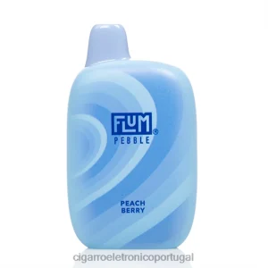 Cigarro Eletrónico Iqos – FLUM PEBBLES 6.000 baforadas baga de pêssego V6VXN37