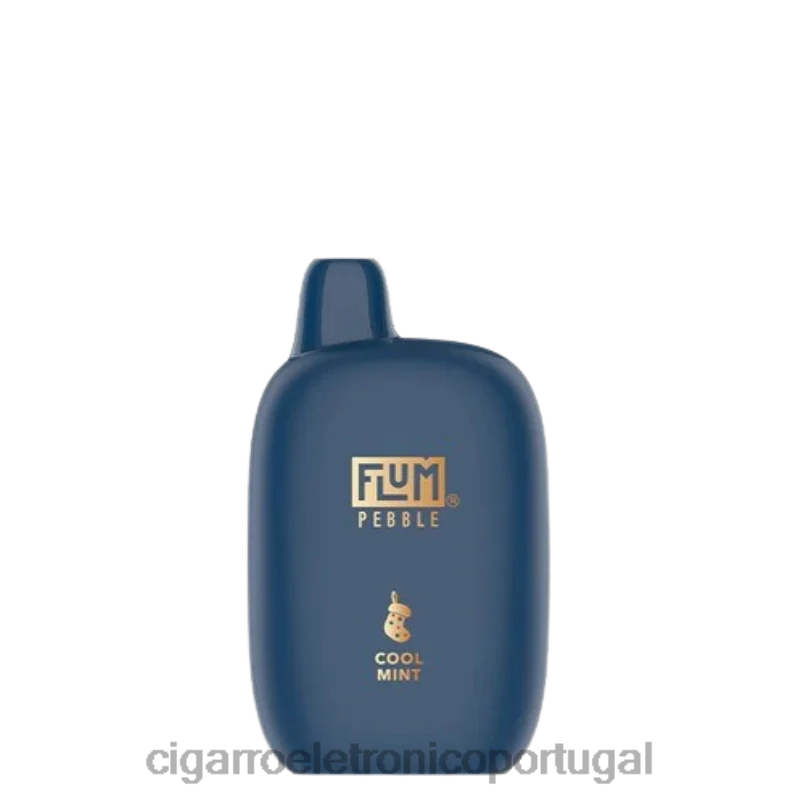 Cigarro Eletrónico Iqos – FLUM PEBBLES 6000 baforadas (edição de natal) menta fresca V6VXN5