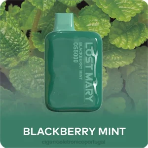cigarro eletrónico iqos RB64485 menta amora LOST MARY OS5000