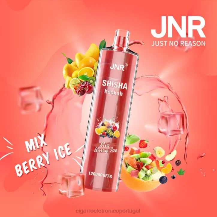 cigarro eletrónico iqos RB64685 misture gelo de frutas vermelhas JNR SHISHA