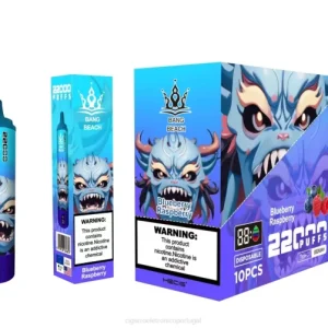 Cigarro Eletrónico Portugal – Bang Beach Tela inteligente de 22.000 baforadas framboesa mirtilo 8T6014