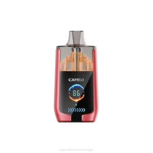 Cigarro Eletrónico Portugal – gelo de melancia LAVIE CAMEO 30.000 baforadas DDN014
