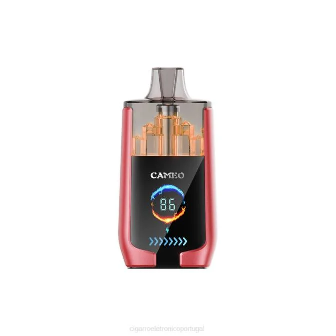 Cigarro Eletrónico Portugal – gelo de melancia LAVIE CAMEO 30.000 baforadas DDN014