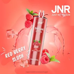 cigarro eletrônico RB64687 lama de frutas vermelhas JNR SHISHA