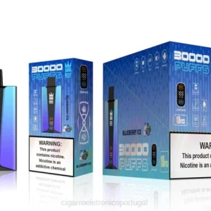 Cigarro Eletrônico Vape – Bang Box Tela inteligente de 30.000 baforadas gelo de mirtilo 8T6079