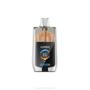 Cigarro Eletrônico Vape – gelo de pêra LAVIE CAMEO 30.000 baforadas DDN017