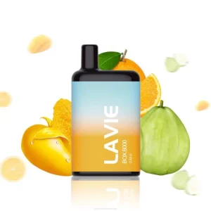 Cigarro Eletrônico Vape – oh meu deus LAVIE BOX 6.000 baforadas DDN0204