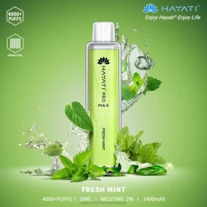cigarro eletrônico vape RB64158 menta fresca Hayati Pro Max 4000