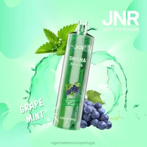cigarro eletrônico vape RB64678 hortelã de uva JNR SHISHA
