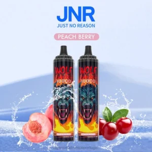 cigarro eletrônico vape RB64768 baga de pêssego JNR WOLF NIPLO
