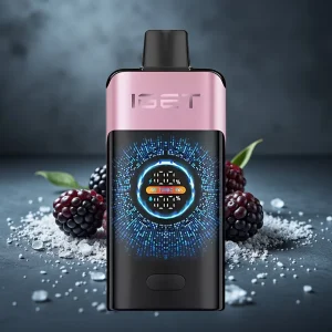 IGET ONE 12000 Puffs Disposable Vape Gelado de Amora, 2700 mAh, Tela Colorida Curva