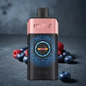 IGET ONE 12000 Puffs Disposable Vape Mirtilo Framboesa, Tela Curva Grande, 2700 mAh