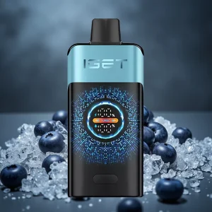 IGET ONE 12000 Puffs Disposable Vape Mirtilo Gelo, Tela Colorida Curva, 2700 mAh, 0.6 ohm Dual Mesh