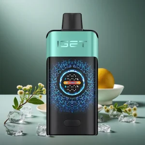 IGET ONE 12000 Puffs Disposable Vape Tela Curva Grande Sabor Menta Gelo de Montanha 2700mAh