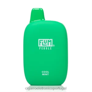 Importação Cigarro Eletrónico Portugal – FLUM PEBBLES 6.000 baforadas menta fresca V6VXN26