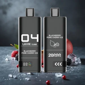 Lavie Cube 20000 Puffs 28ML 5% Type C Blackberry Pome Cherry Ice