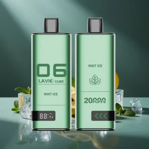 Lavie Cube 20000 Puffs Disposable Vape Menta Gelo 28ML 5% Type C