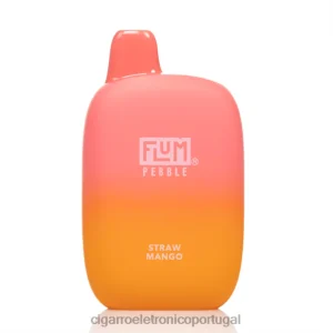 Liquido Cigarro Eletronico Portugal – FLUM PEBBLES 6.000 baforadas manga palha V6VXN43