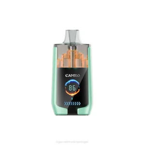 Loja Cigarro Eletronico Portugal – maçã dupla LAVIE CAMEO 30.000 baforadas DDN020
