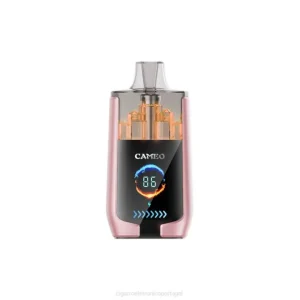 Loja De Cigarro Eletronico Portugal – fruta tropical LAVIE CAMEO 30.000 baforadas DDN019