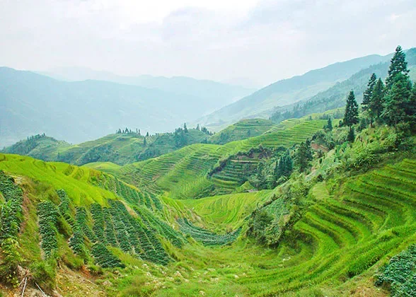 Philippines 2 Weeks Itinerary to Manila, Baguio, Boracay, Cebu