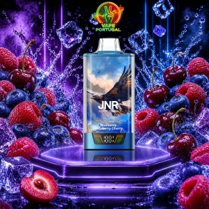 Vape Descartável Blueberry Raspberry Cherry – JNR Falcon Pro 28K