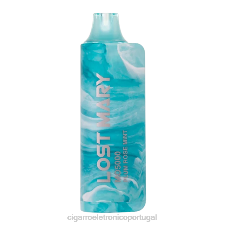 vaporizador de ervas atacado RB64531 ameixa rosa hortelã LOST MARY MO5000