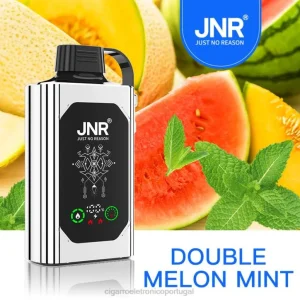 vaporizador de ervas atacado RB64621 melão duplo menta JNR SHISHA BOX